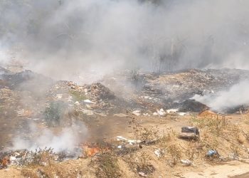 Kebakaran Kembali Melanda TPA Cirebon, Meluas Ke Hutan Sekitar, Asap Tebal Selimuti Akses Jalan (Foto : Darfan)