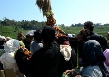 Warga Berebut Hasil Bumi Gunungan Hasil Bumi Pembawa Berkah (Foto : Darfan)