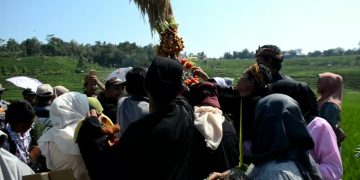 Warga Berebut Hasil Bumi Gunungan Hasil Bumi Pembawa Berkah (Foto : Darfan)