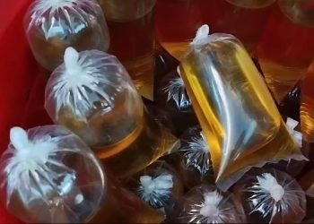 Harga Minyak Curah dan Kemasan Melonjak Tajam (Foto : Darfan)