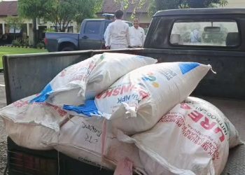 Polisi Bongkar Penyelewengan Pupuk Subsidi, Amankan 3,5 Ton Pupuk Dari Gudang (Foto : Darfan)