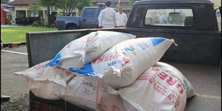 Polisi Bongkar Penyelewengan Pupuk Subsidi, Amankan 3,5 Ton Pupuk Dari Gudang (Foto : Darfan)