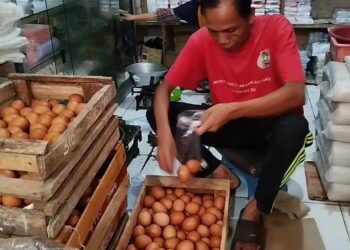 Jelang Natal Dan Tahun Baru, Harga Telur Meroket Tajam, Hingga Tembus 32 Ribu Perkilogram