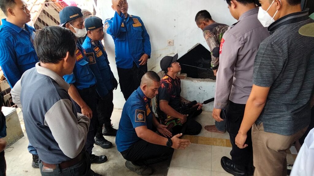 Resahkan Warga, Melompat Dari Rumah Ke Rumah, Petugas Damkar Evakuasi Kera Liar
