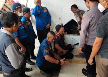 Resahkan Warga, Melompat Dari Rumah Ke Rumah, Petugas Damkar Evakuasi Kera Liar