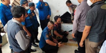 Resahkan Warga, Melompat Dari Rumah Ke Rumah, Petugas Damkar Evakuasi Kera Liar