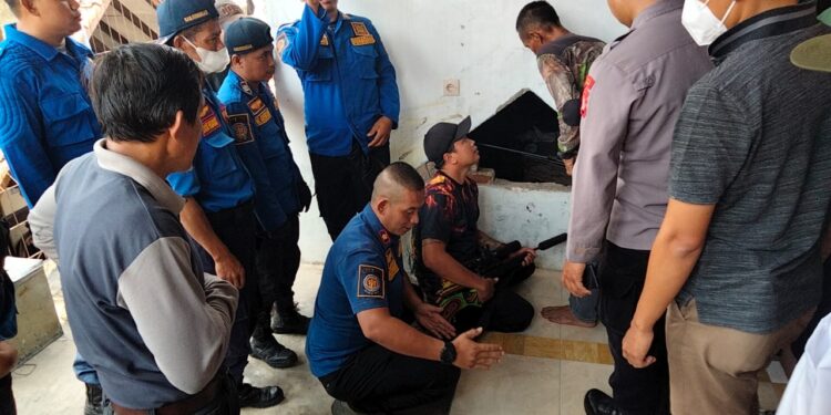 Resahkan Warga, Melompat Dari Rumah Ke Rumah, Petugas Damkar Evakuasi Kera Liar