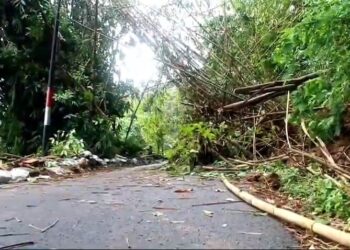 Mobil Tertimpa Longsor, Akses Jalan Penghubung Antar Kecamatan Ditutup
