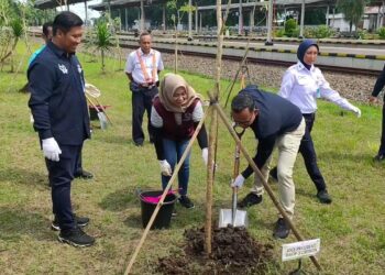 KAI Tanam 200 Pohon Di Berbagai Stasiun Yang Ada Di Cirebon
