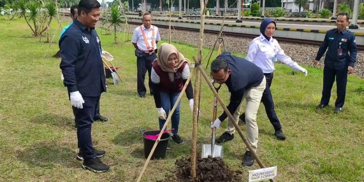 KAI Tanam 200 Pohon Di Berbagai Stasiun Yang Ada Di Cirebon