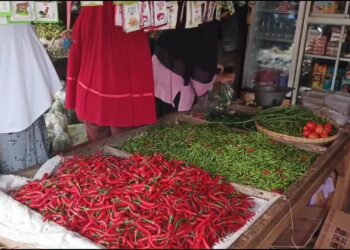 Harga Cabai Setan Meroket, Pedagang Cabe Cirebon Enggan Jualan Cabe Setan