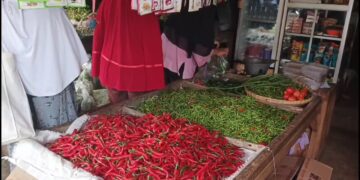 Harga Cabai Setan Meroket, Pedagang Cabe Cirebon Enggan Jualan Cabe Setan