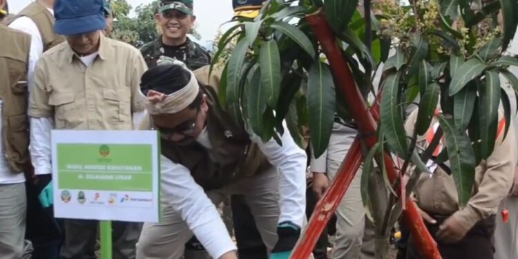 Mendukung Pencapaian Target Food Energy And Water Nexus Wakil Menteri Kehutanan Tanam 10 Ribu Pohon