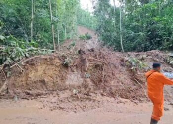 Tebing Setinggi 30 Meter Longsor, Material Longsor Tutup Jalan Nasional Cikijing Majalengka – Kuningan