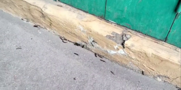 Diduga Berasal Dari Perkebunan Eks Bangunan Pabrik, Ribuan Ulat Kaki Seribu Serang Permukiman