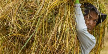 Siswa SMA Madiun Ciptakan Plastik Ramah Lingkungan dari Jerami dan Jagung