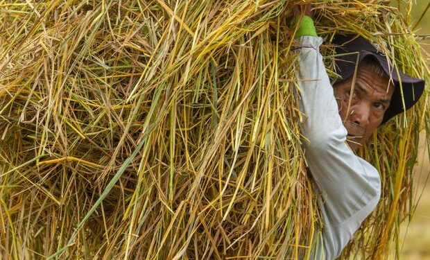 Siswa SMA Madiun Ciptakan Plastik Ramah Lingkungan dari Jerami dan Jagung