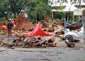 Angin Kencang Robohkan Pohon Setinggi Dua Puluh Meter Di Kesambi Cirebon, Pasutri Pedagang Rawon Jadi Korban