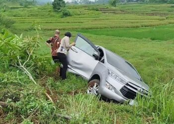 Hindari Pemotor Nyebrang, Sebuah Minibus Terjun Ke Sawah