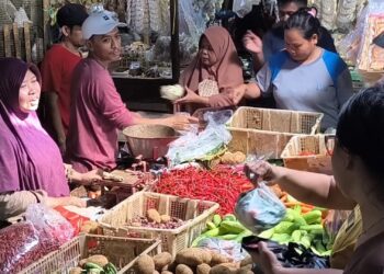 Dua Hari Memasuki Puasa, Harga Cabai Rawit Merah Tembus 100 Ribu Perkilogram