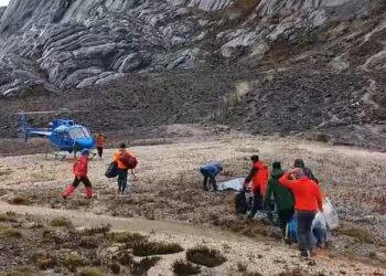 Fiersa Besari Selamat, Dua Pendaki Meninggal Dalam Ekspedisi Puncak Carstensz