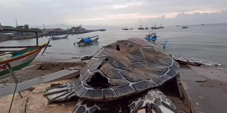 Viral! Patung Penyu Miliaran di Sukabumi Dibuat dengan Kardus dan Bambu