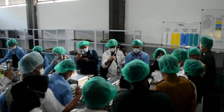 Menteri Kependudukan Dan Pembangunan Keluarga / Kepala BKKBN Cek Dapur MBG