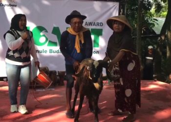 Unik, Warga Gelar Ajang Kontestasi Hewan Qurban, Untuk Meningkatkan Penjualan Hewan Qurban