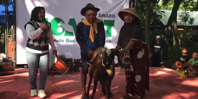 Unik, Warga Gelar Ajang Kontestasi Hewan Qurban, Untuk Meningkatkan Penjualan Hewan Qurban