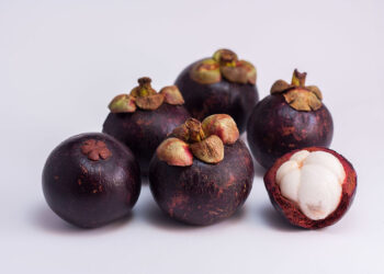 Manggis Dinobatkan Sebagai Buah Terbaik Asia Tenggara versi Taste Atlas