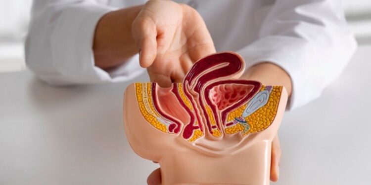 MUI Tegaskan Vasektomi Sebagai Syarat Bansos adalah Haram