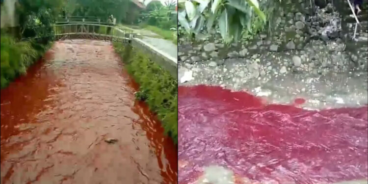 Viral Air Sungai Di Desa Kecomberan Cirebon Berubah Jadi Merah, Penyebabnya Masih Misterius