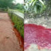 Viral Air Sungai Di Desa Kecomberan Cirebon Berubah Jadi Merah, Penyebabnya Masih Misterius
