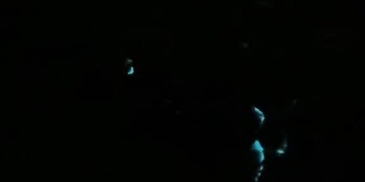 Langka! Laut di Bawah Jembatan Suramadu Bercahaya di Malam Hari