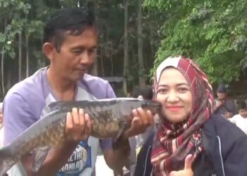 Unik, Ibu-Ibu Ngidam Dicium Bareng Ikan Dewa, Syarat Sejarah