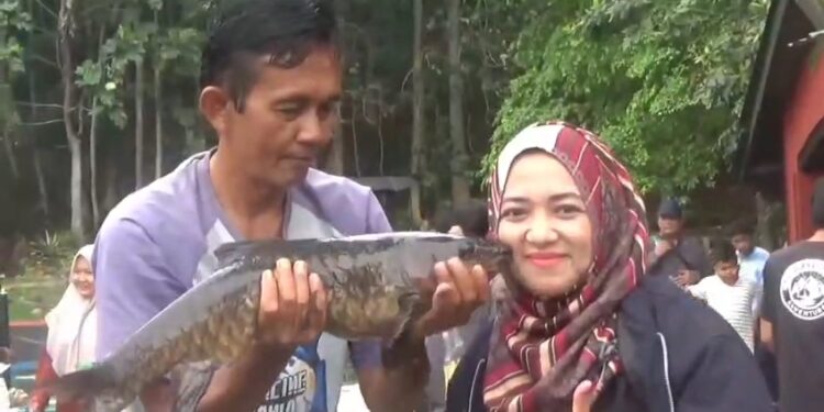 Unik, Ibu-Ibu Ngidam Dicium Bareng Ikan Dewa, Syarat Sejarah