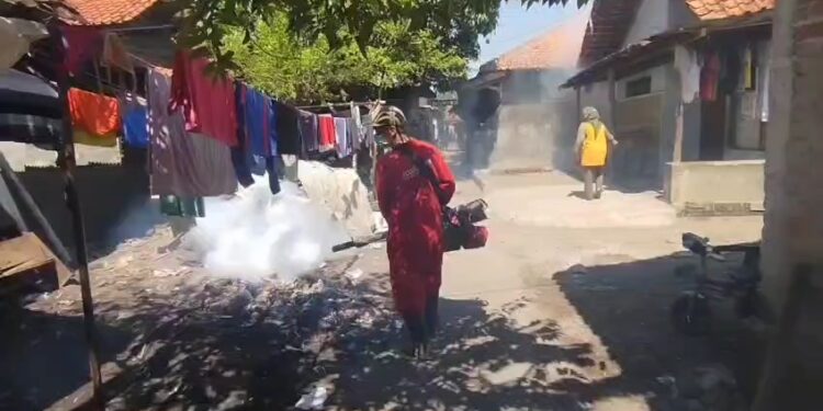 Cegah DBD Meluas, Pemukiman Warga Difogging