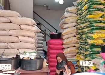 Harga beras masih tinggi di pasaran, Pemda dorong penyaluran bantuan pangan beras diperbanyak