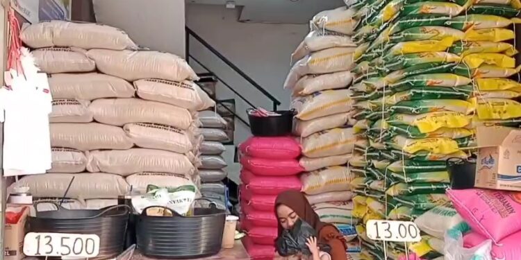 Harga beras masih tinggi di pasaran, Pemda dorong penyaluran bantuan pangan beras diperbanyak