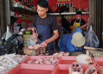 Stok menipis, harga daging ayam meroket tembus 42 ribu per kilo