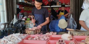 Stok menipis, harga daging ayam meroket tembus 42 ribu per kilo
