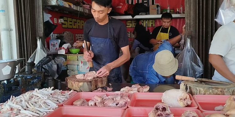 Stok menipis, harga daging ayam meroket tembus 42 ribu per kilo