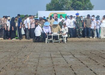 Percepat Pengentasan Kemiskinan, BP Taskin Luncurkan Koperasi Multi Pihak dan Digitalisasi Pertanian