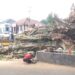 Pohon Setinggi 27 Meter Roboh Menimpa Warung Warga