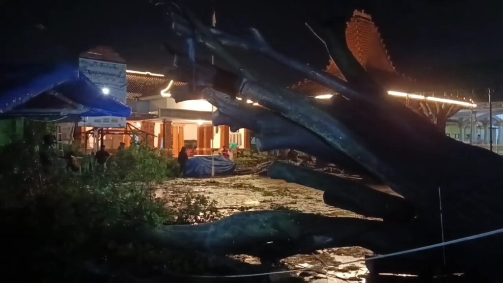 Diterjang Angin Kencang, Pohon Beringin Tumbang Timpa Tenda Acara Adat