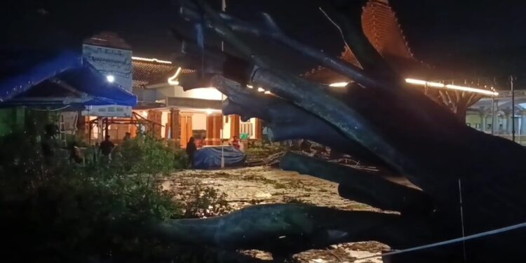 Diterjang Angin Kencang, Pohon Beringin Tumbang Timpa Tenda Acara Adat