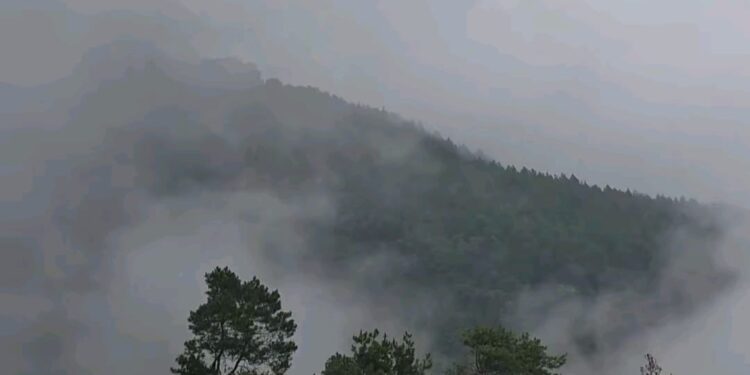 Puluhan Jurnalis Cirebon–Kuningan Siap Meriahkan BJB Jambore Wartawan 2025 di D’ Orchid Cisantana