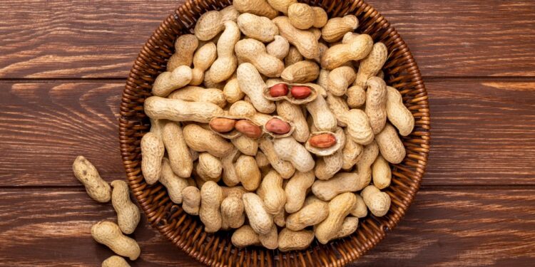 Studi Ungkap Rutin Konsumsi Kacang Tanah Baik untuk Kesehatan Otak Lansia