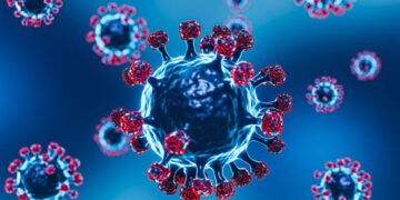 Kemenkes Ingatkan Risiko Penularan Virus Nipah dari Makanan dan Minuman