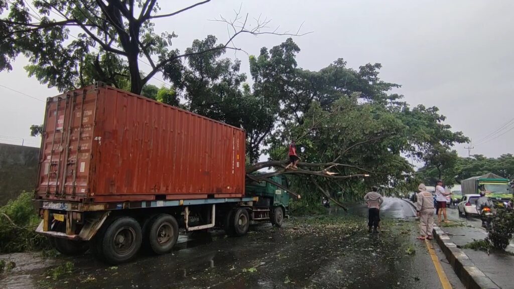 Pohon tumbang timpa kontainer, Pantura macet parah